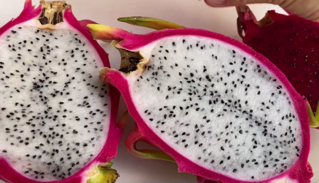 火龙果甜不甜,看这里一眼,立马就能分辨!